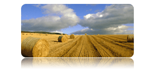 Prévisions spécialisées pour l'agriculture et le jardinage